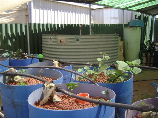 january 09 005 (Small).jpg