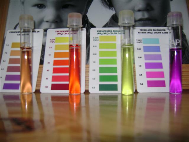 january 09 019 (Small).jpg