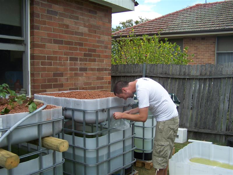 100_2250 (Medium).JPG