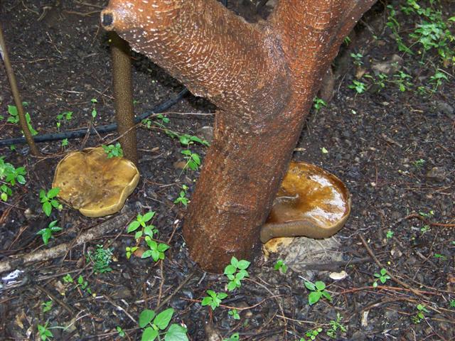 100_1851 (Small).JPG