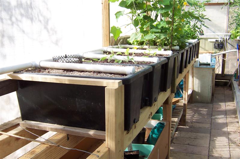 All 10 grow beds finished (Medium).JPG
