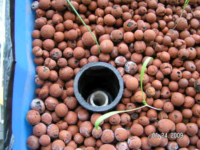 2009-01-24 5.5g GB drain.JPG