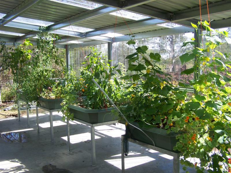 100_2225 (Medium).JPG