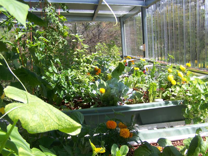 100_2226 (Medium).JPG