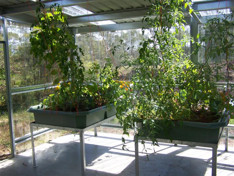 100_2227 (Medium).JPG