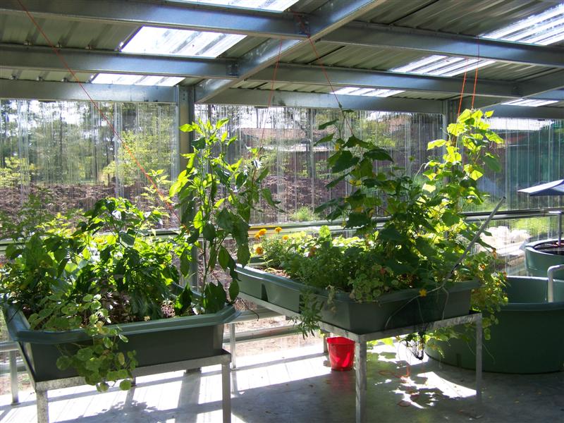 100_2228 (Medium).JPG