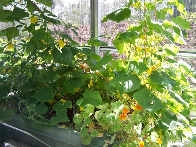 100_2240 (Medium).JPG