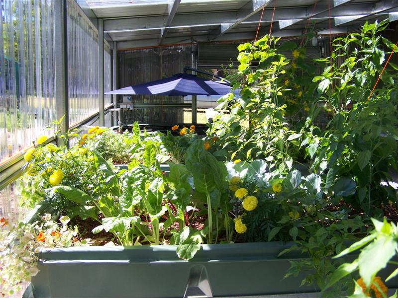 100_2244 (Medium).JPG