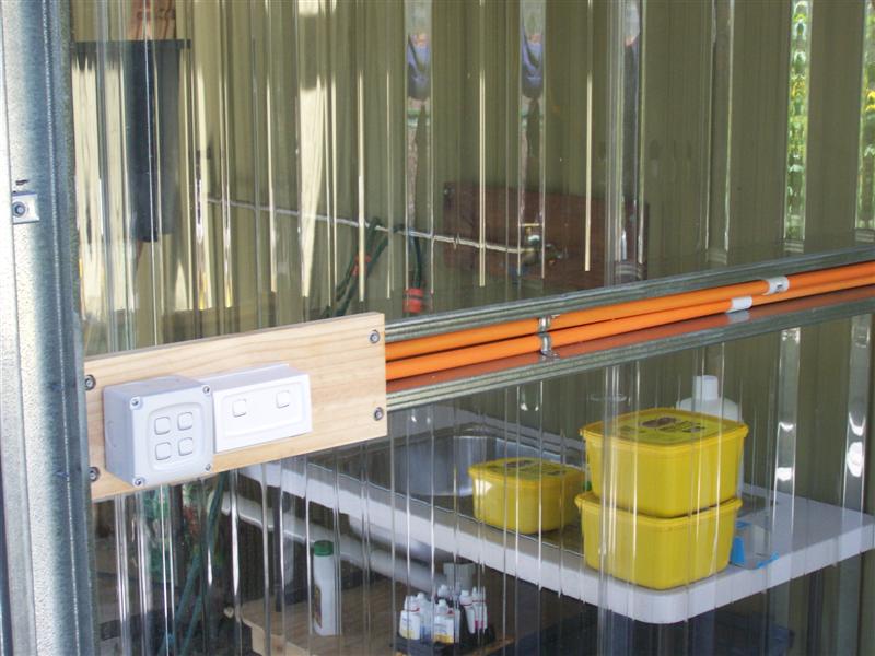 100_2234 (Medium).JPG