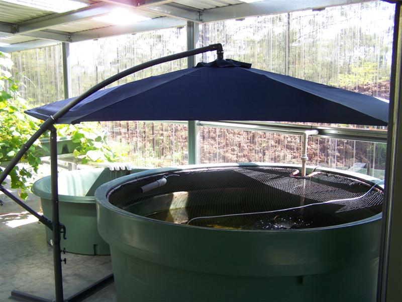 100_2223 (Medium).JPG