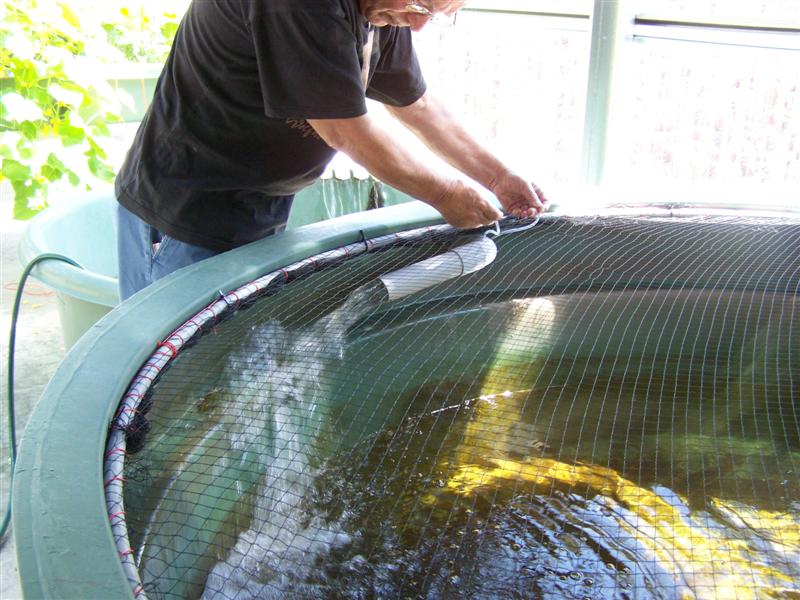 100_2245 (Medium).JPG