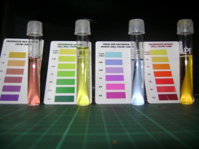 25 january 09 007 (Small).jpg