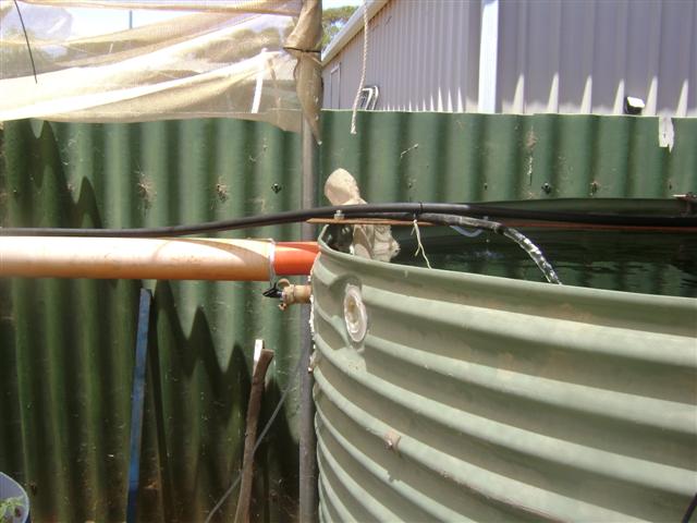 25 january 09 004 (Small).jpg