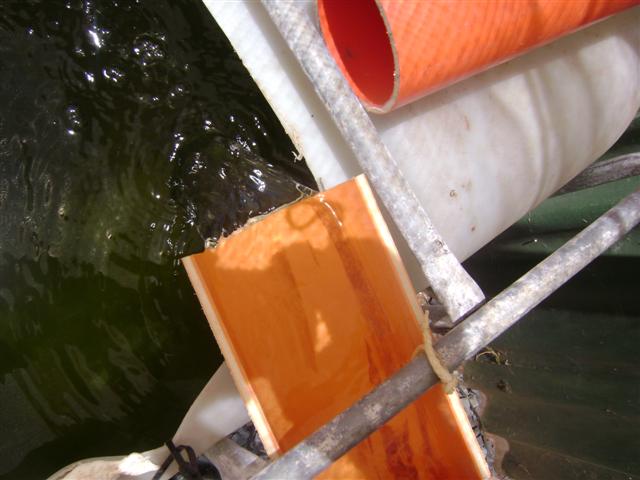 25 january 09 005 (Small).jpg