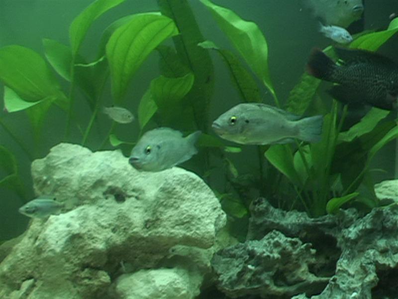 DSC00056 (Medium).JPG