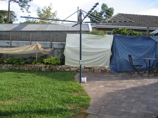 IMG_0304 (Small).jpg