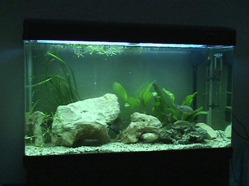 DSC00063 (Medium).JPG