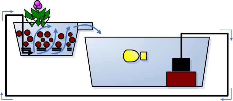 pond diagram.jpg