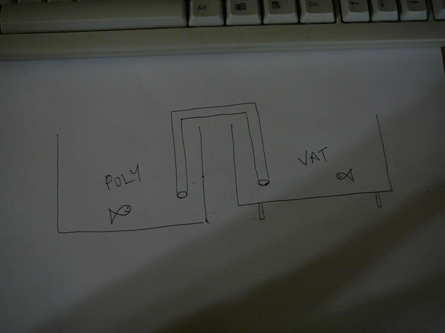 syphoning woes 001.jpg