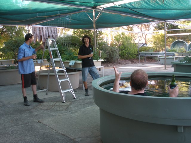 Water temp 33 degrees.jpg