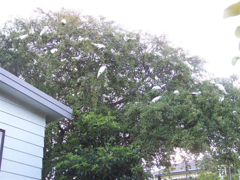 100_2318 (Medium).JPG