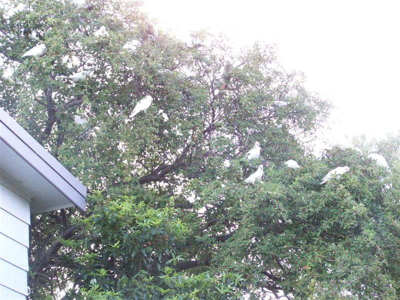 100_2317 (Medium).JPG