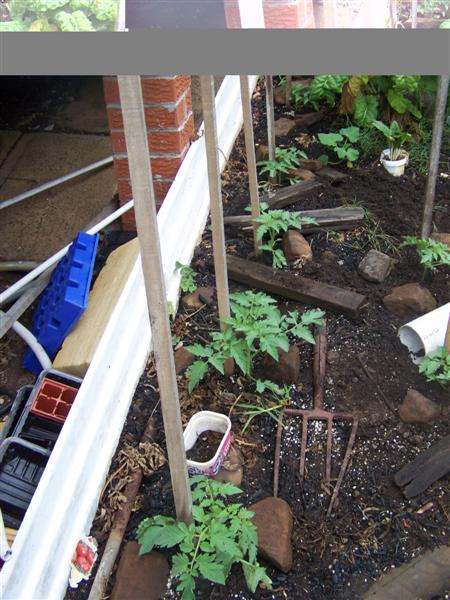 100_2321 (Medium).JPG