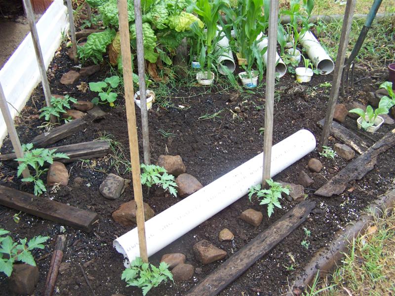 100_2322 (Medium).JPG