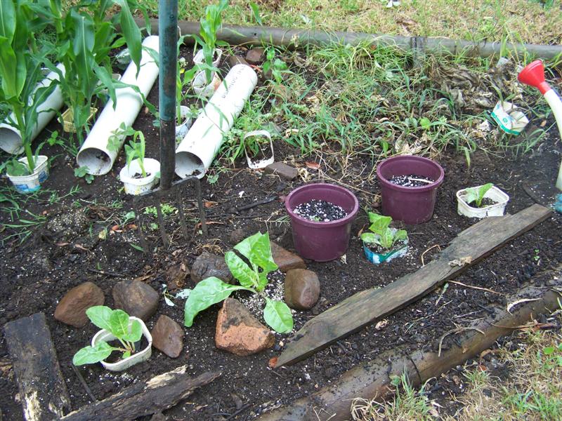 100_2323 (Medium).JPG