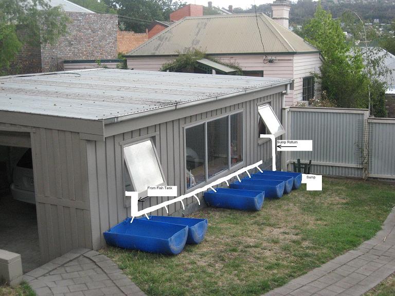 Grow Bed Layout2.JPG