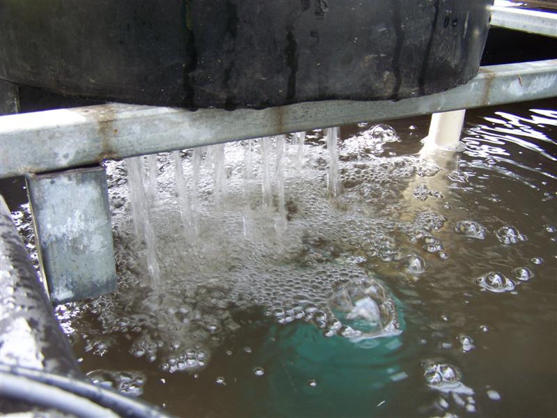 100_1488 (Medium).JPG