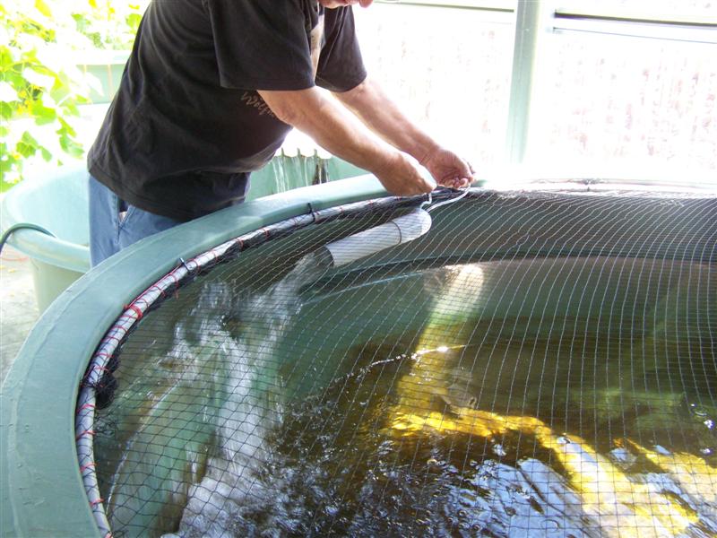 100_2246 (Medium).JPG