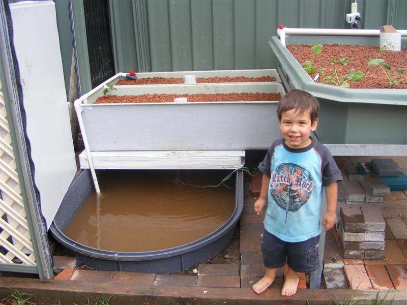 DSCF3906 (Medium).JPG