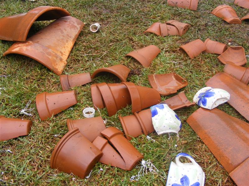 DSCF3902 (Medium).JPG