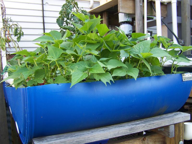 100_2347 (Medium).JPG