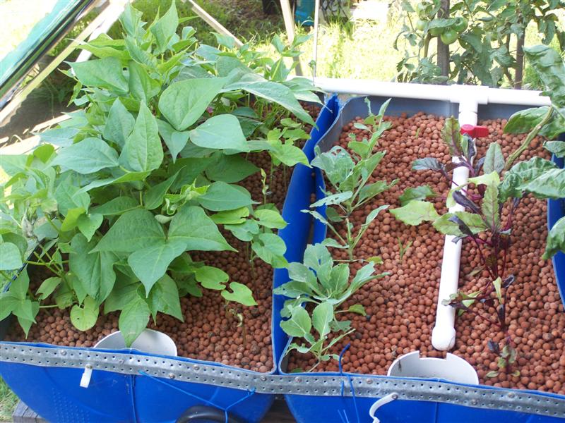 100_2358 (Medium).JPG