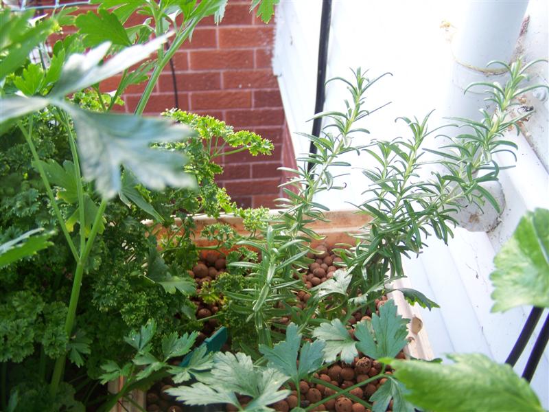 100_2351 (Medium).JPG