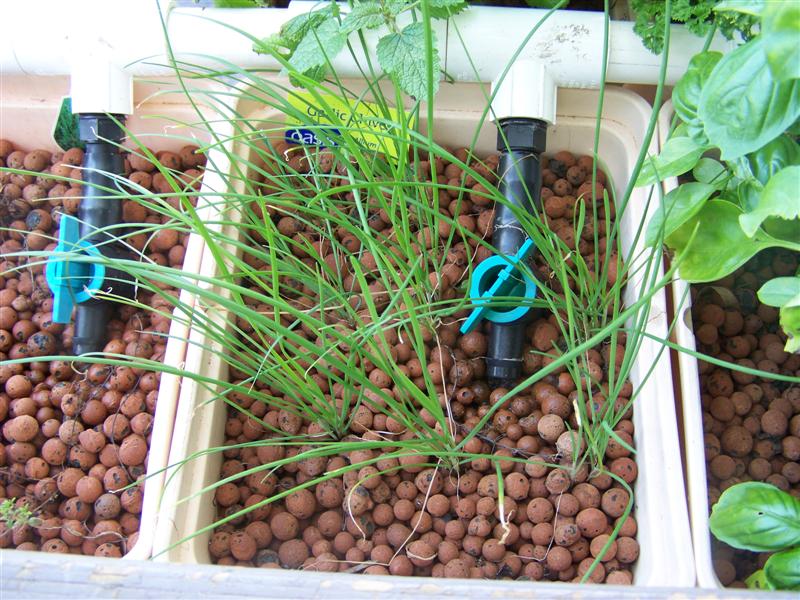 100_2355 (Medium).JPG