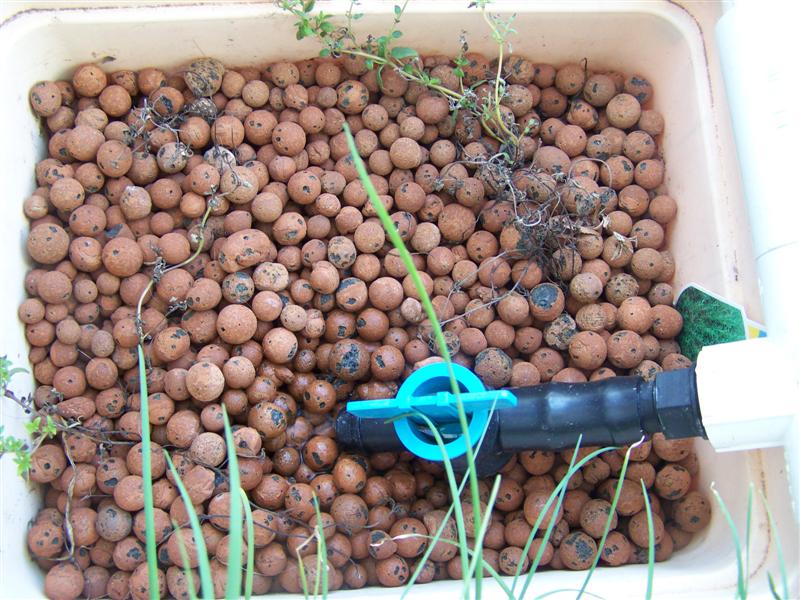 100_2357 (Medium).JPG