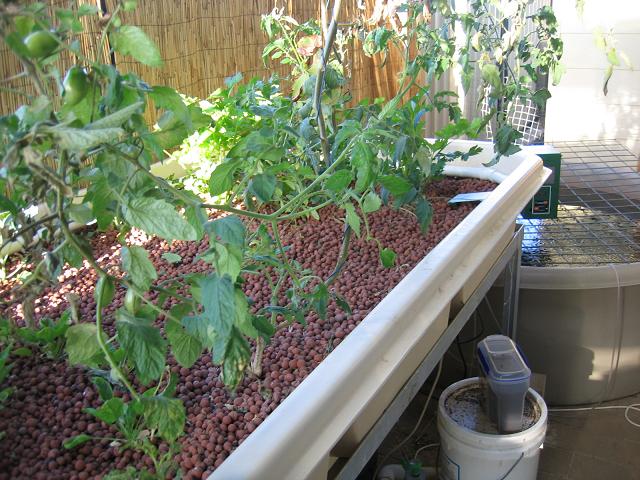 2 bed system (1).jpg