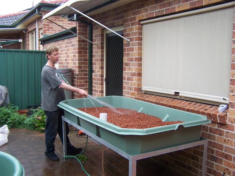 100_2335 (Medium).JPG