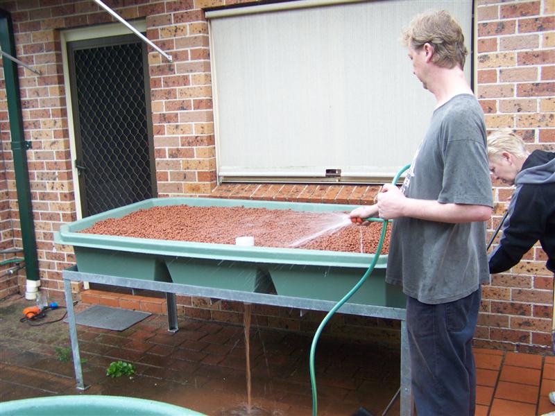 100_2336 (Medium).JPG