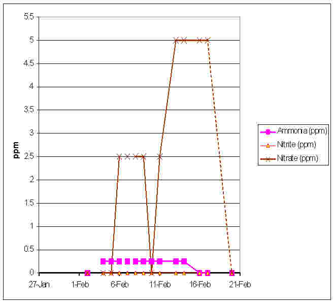 NH3 NO2 NO3 - 21-02-2009.jpg