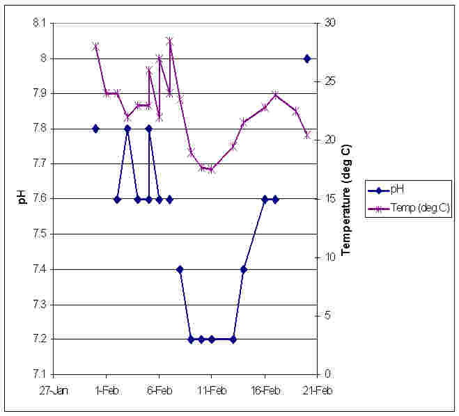 Temp pH - 21-02-2009.jpg