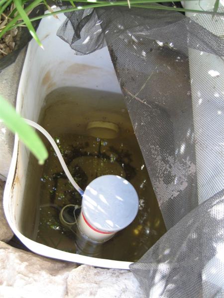 syphon4 (Medium).jpg