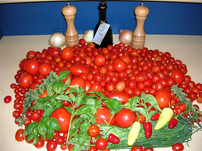 DSCN1435 (Medium).JPG