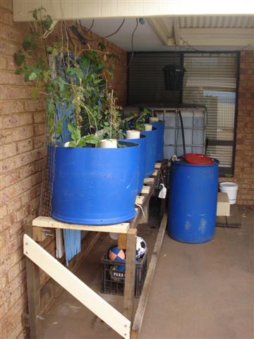 BB growth system 1 (Small).JPG