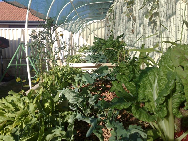 22022009280 (Medium).jpg