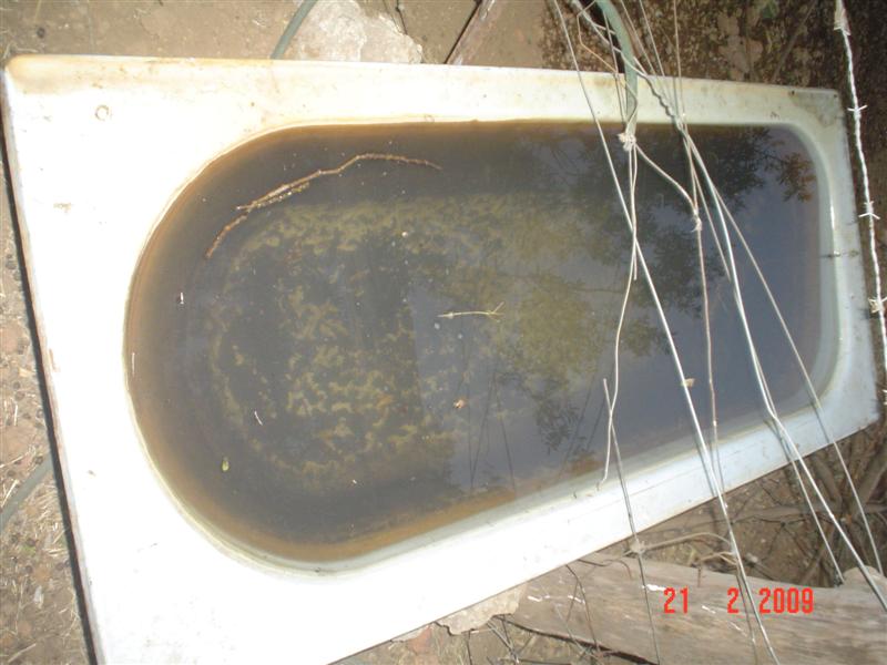 DSC02268 (Medium).JPG