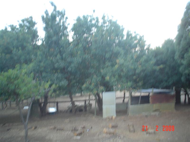 DSC02265 (Medium).JPG